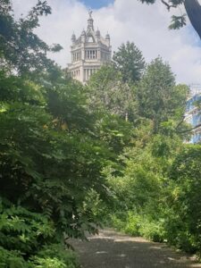 London Open gardens event 2022